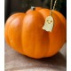 Glorria Kişiye Özel Halloween Gümüş Kolye Glorria Kişiye Özel Halloween Gümüş Kolye