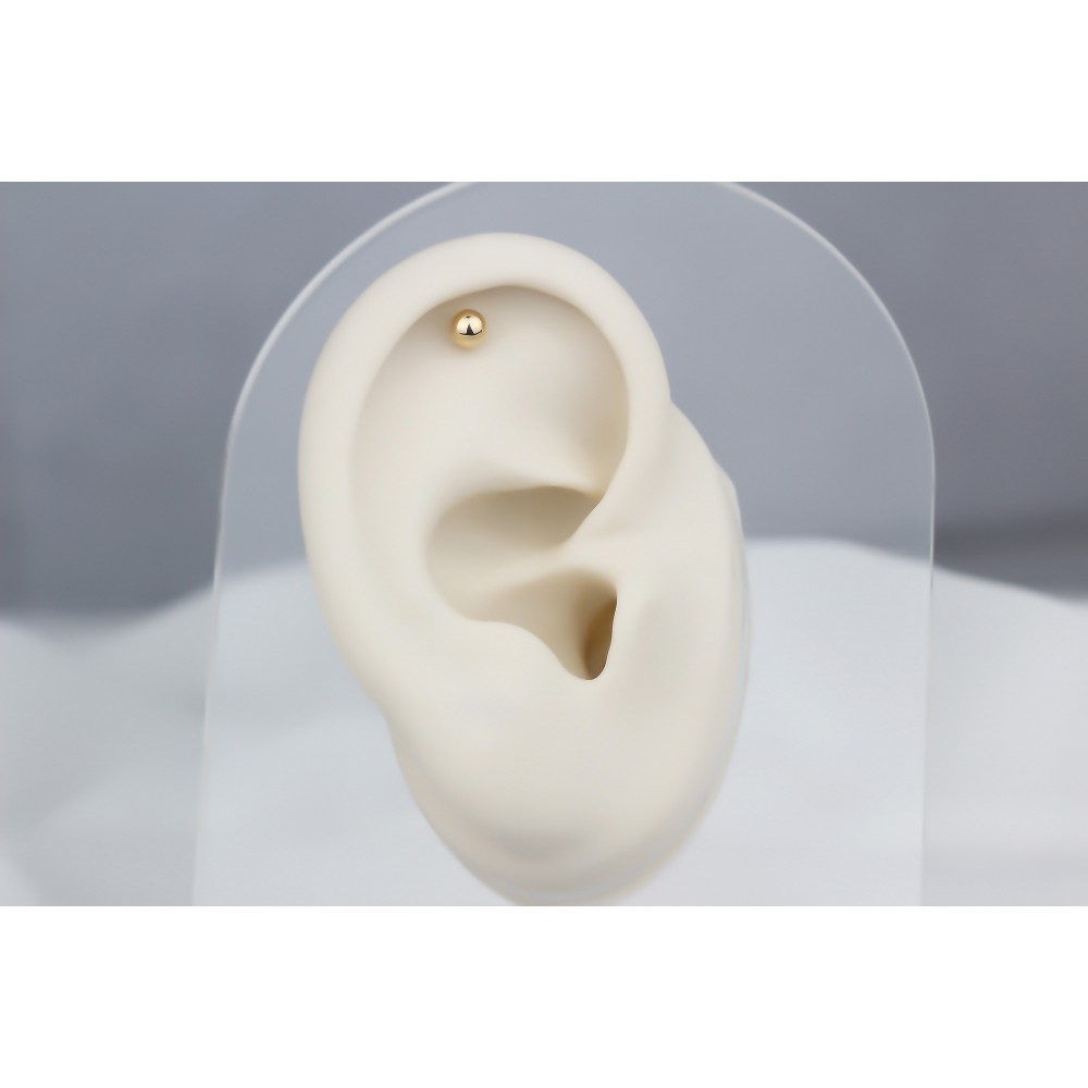 Glorria Altın Top Helix Piercing Glorria Altın Top Helix Piercing