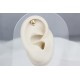 Glorria Altın Kuru Kafa Helix Piercing Glorria Altın Kuru Kafa Helix Piercing