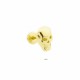 Glorria Altın Kuru Kafa Helix Piercing Glorria Altın Kuru Kafa Helix Piercing