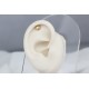 Glorria Altın Şemsiye Helix Piercing Glorria Altın Şemsiye Helix Piercing