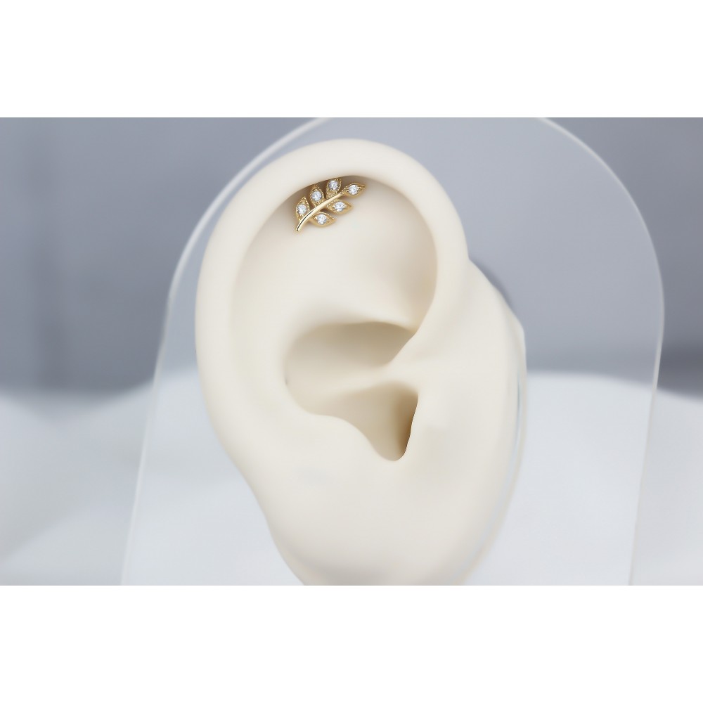 Glorria Altın Yaprak Helix Piercing Glorria Altın Yaprak Helix Piercing