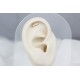 Glorria Altın Melek Kanadı Helix Piercing Glorria Altın Melek Kanadı Helix Piercing