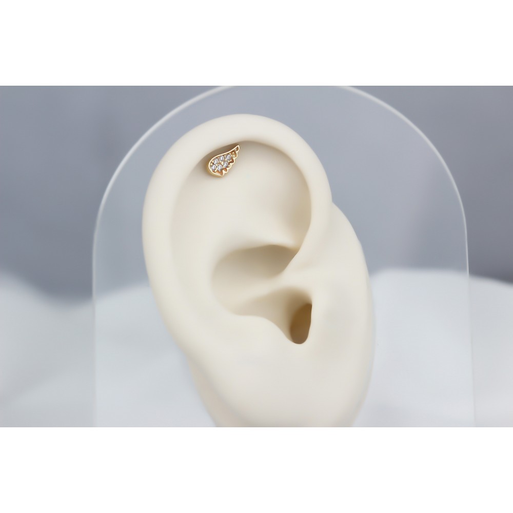 Glorria Altın Melek Kanadı Helix Piercing Glorria Altın Melek Kanadı Helix Piercing