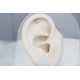 Glorria Altın Kutup Yıldızı Helix Piercing Glorria Altın Kutup Yıldızı Helix Piercing