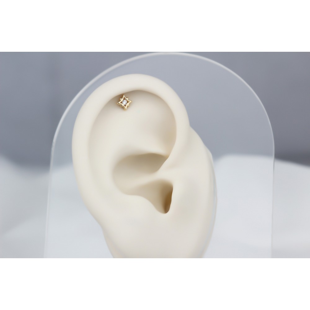 Glorria Altın Yıldız Helix Piercing Glorria Altın Yıldız Helix Piercing