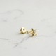 Glorria Altın Deniz Yıldızı Helix Piercing