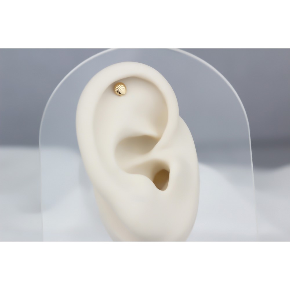 Glorria Altın İstiridye Helix Piercing Glorria Altın İstiridye Helix Piercing
