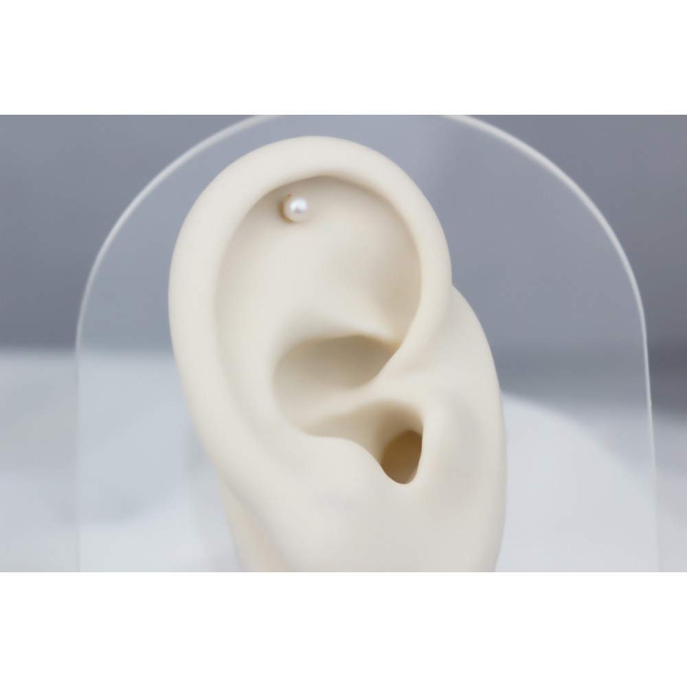 Glorria Altın İnci Helix Piercing Glorria Altın İnci Helix Piercing