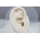 Glorria Altın İnci Üç Taş Helix Piercing Glorria Altın İnci Üç Taş Helix Piercing