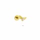 Glorria Altın Melek Kanadı Helix Piercing Glorria Altın Melek Kanadı Helix Piercing