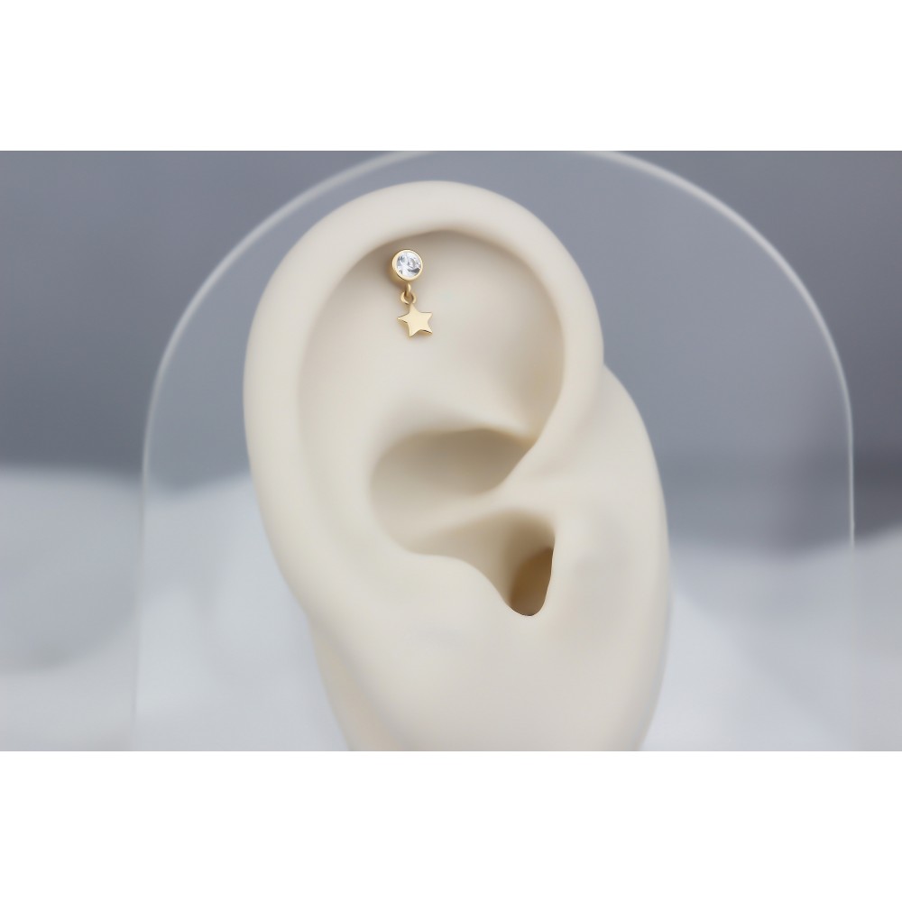 Glorria Altın Sallantı Tektaş Helix Piercing Glorria Altın Sallantı Tektaş Helix Piercing