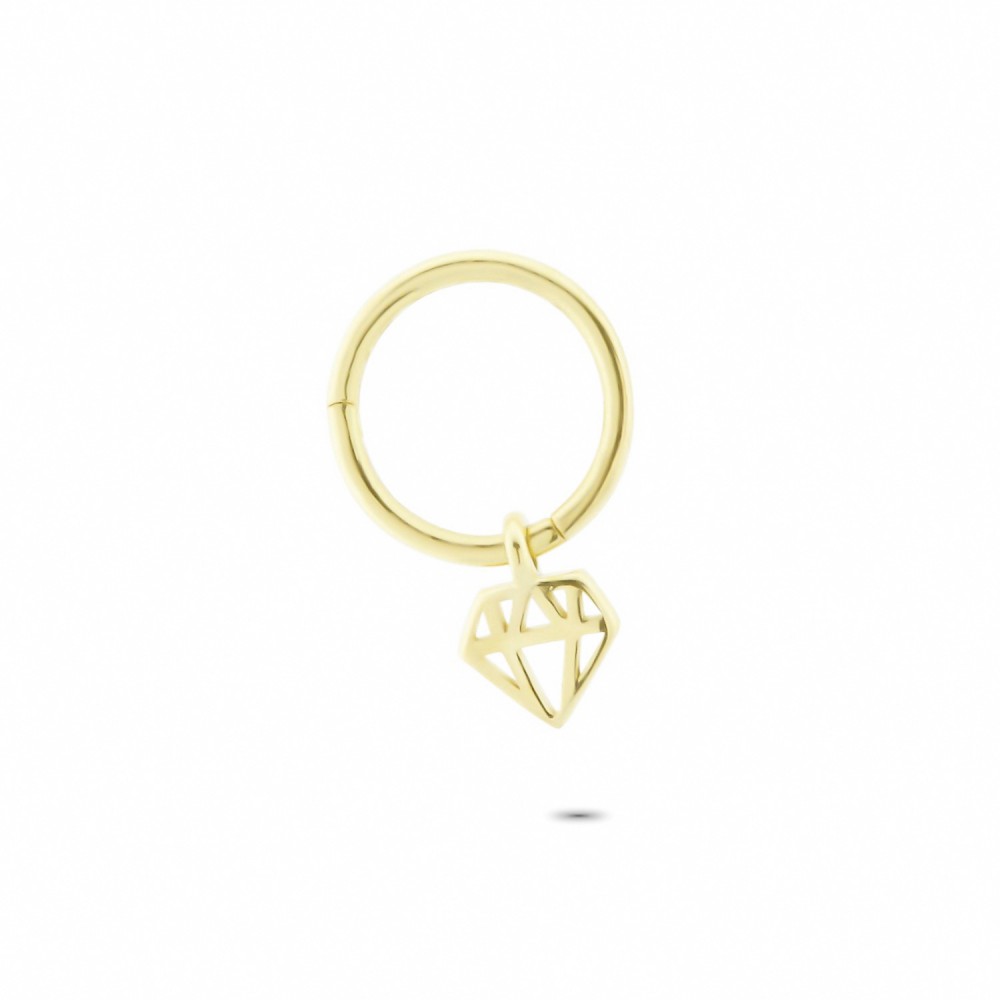 Glorria Altın Elmas Halka Piercing Glorria Altın Elmas Halka Piercing