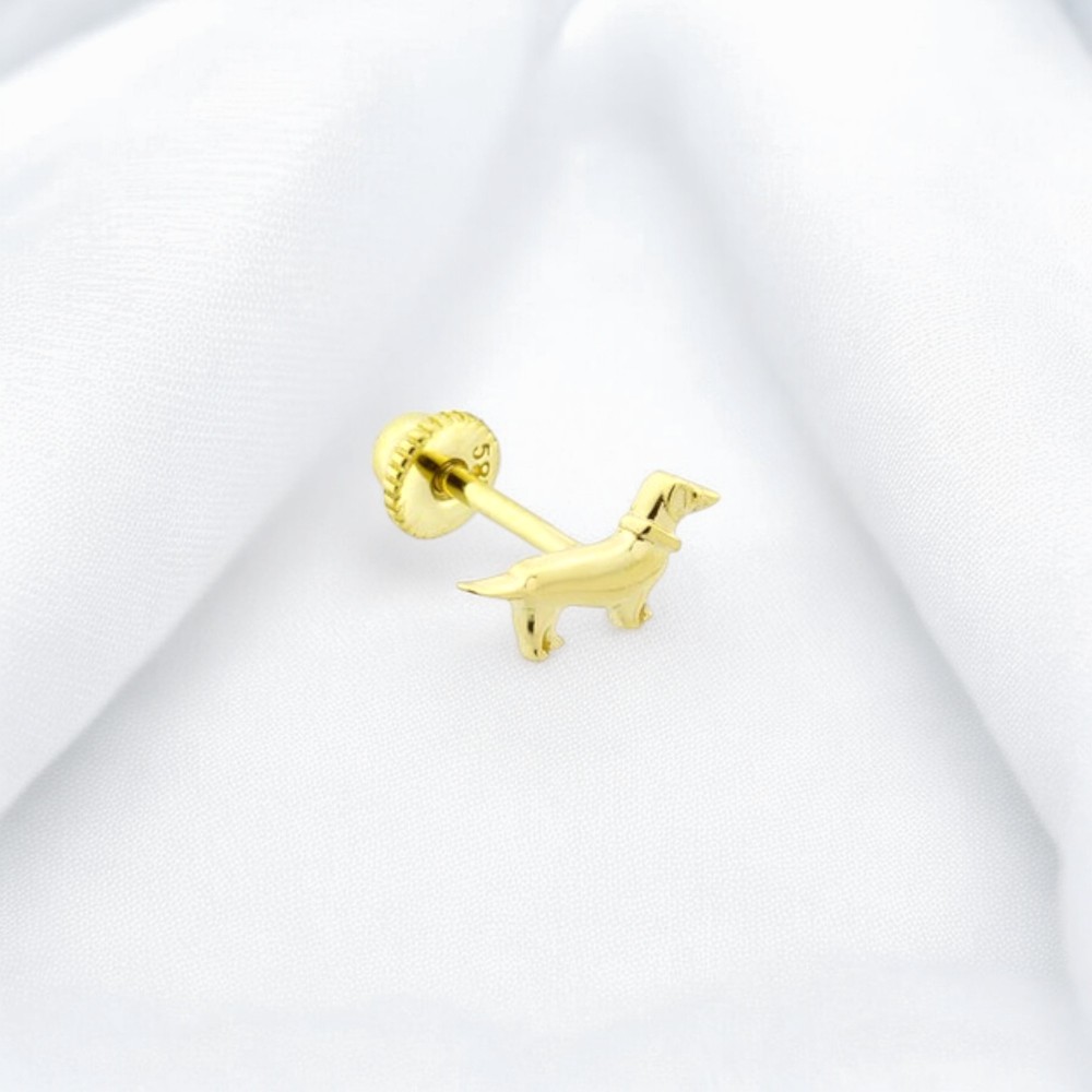 Glorria Altın Köpek Helix Piercing Glorria Altın Köpek Helix Piercing