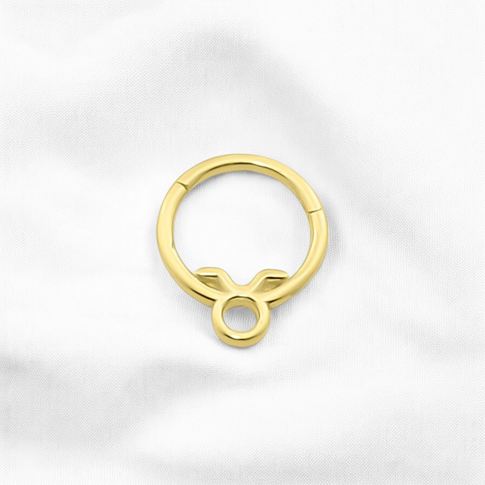 Glorria Altın Boğa Burcu Halka Helix Piercing Glorria Altın Boğa Burcu Halka Helix Piercing