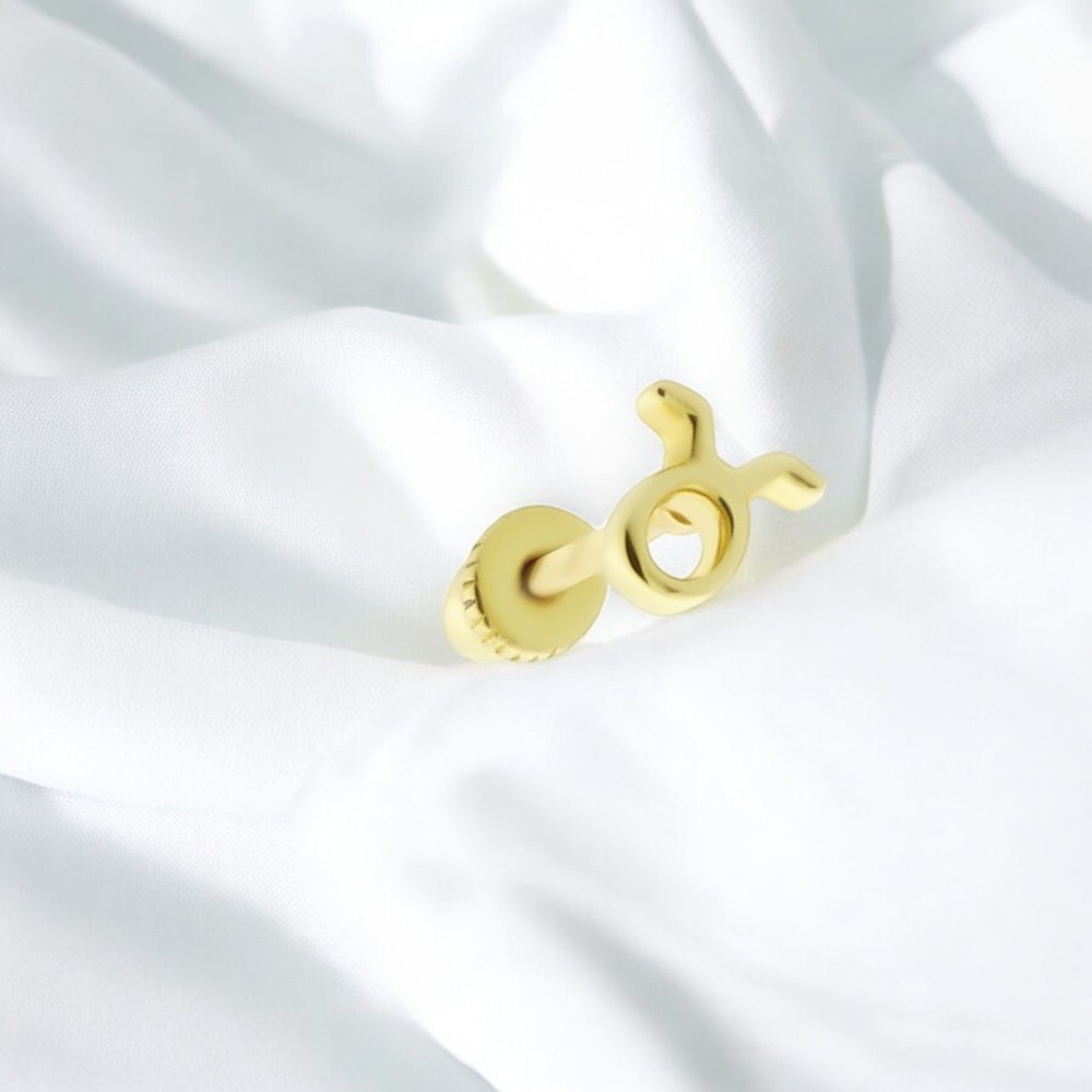 Glorria Altın Boğa Burcu Helix Piercing Glorria Altın Boğa Burcu Helix Piercing