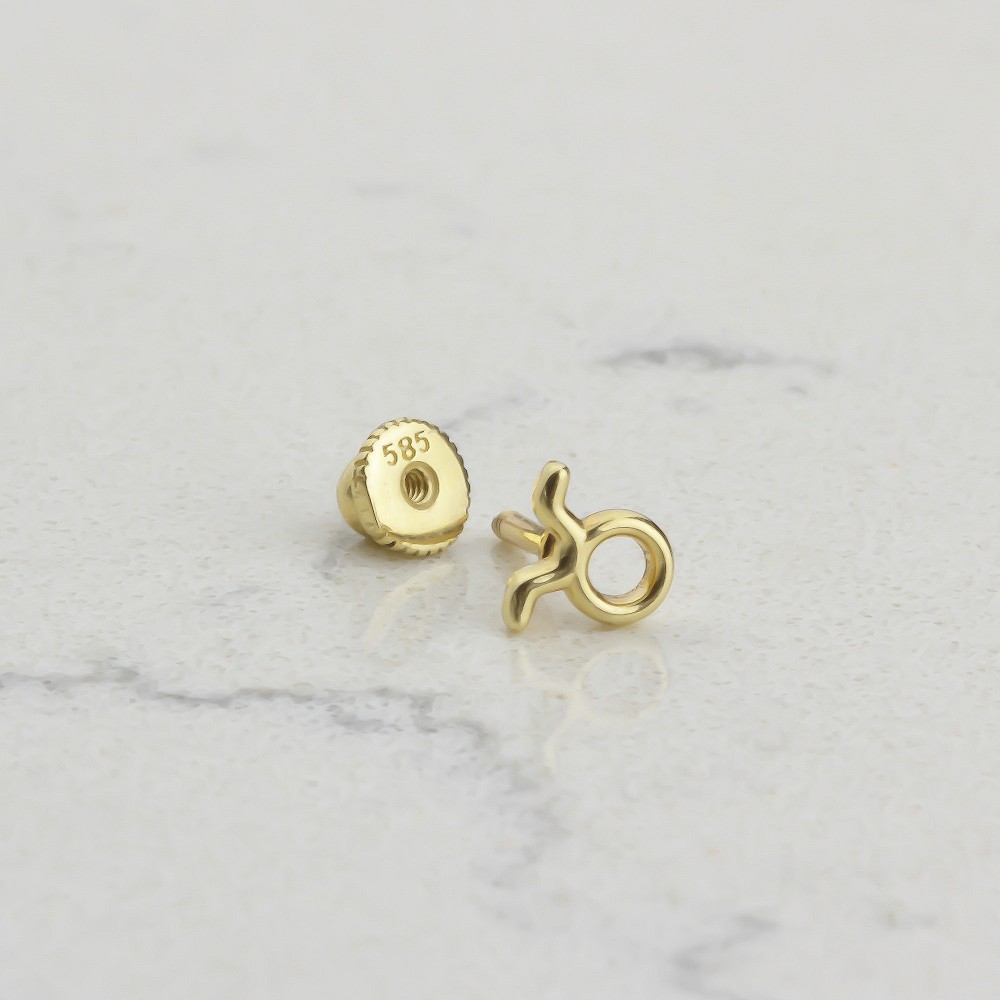 Glorria Altın Boğa Burcu Helix Piercing Glorria Altın Boğa Burcu Helix Piercing