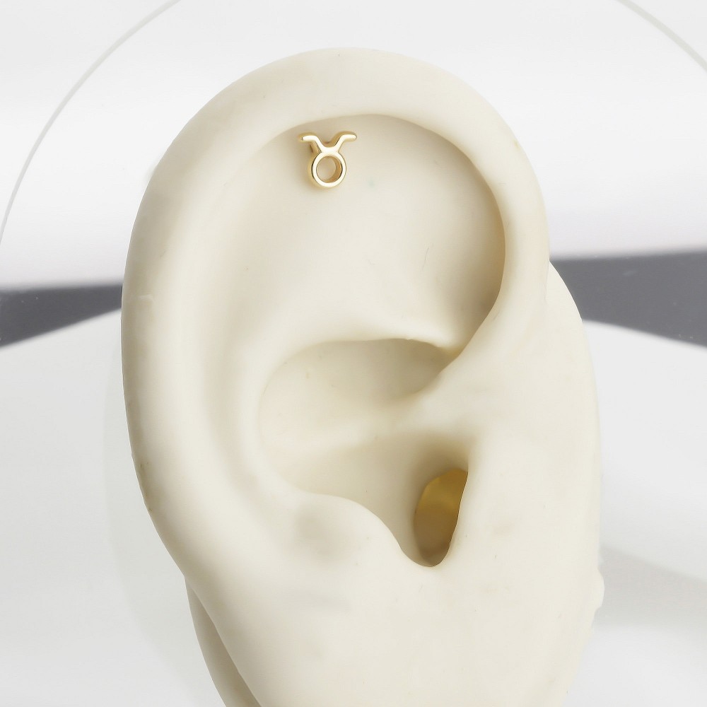 Glorria Altın Boğa Burcu Helix Piercing Glorria Altın Boğa Burcu Helix Piercing