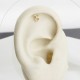 Glorria Altın Boğa Burcu Helix Piercing Glorria Altın Boğa Burcu Helix Piercing