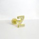 Glorria Altın Z Harfi Tragus Piercing Glorria Altın Z Harfi Tragus Piercing