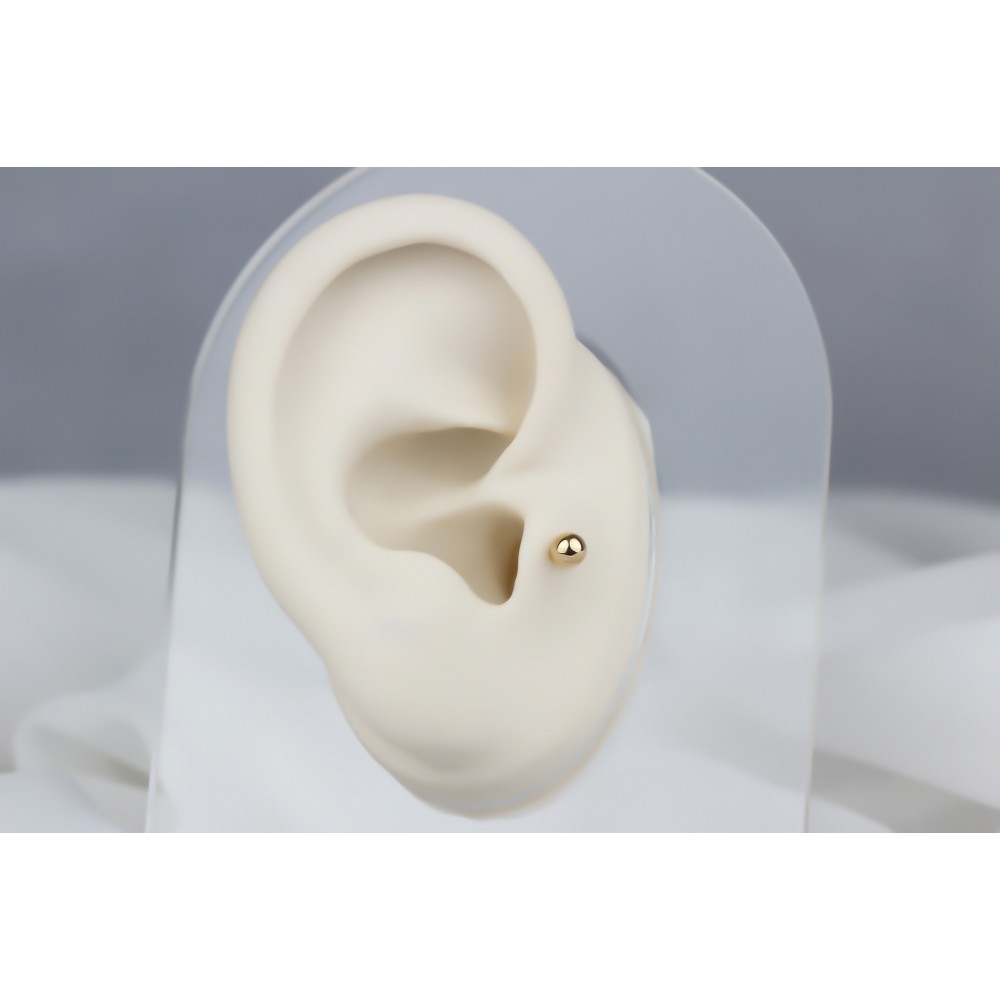 Glorria Altın Top Tragus Piercing Glorria Altın Top Tragus Piercing