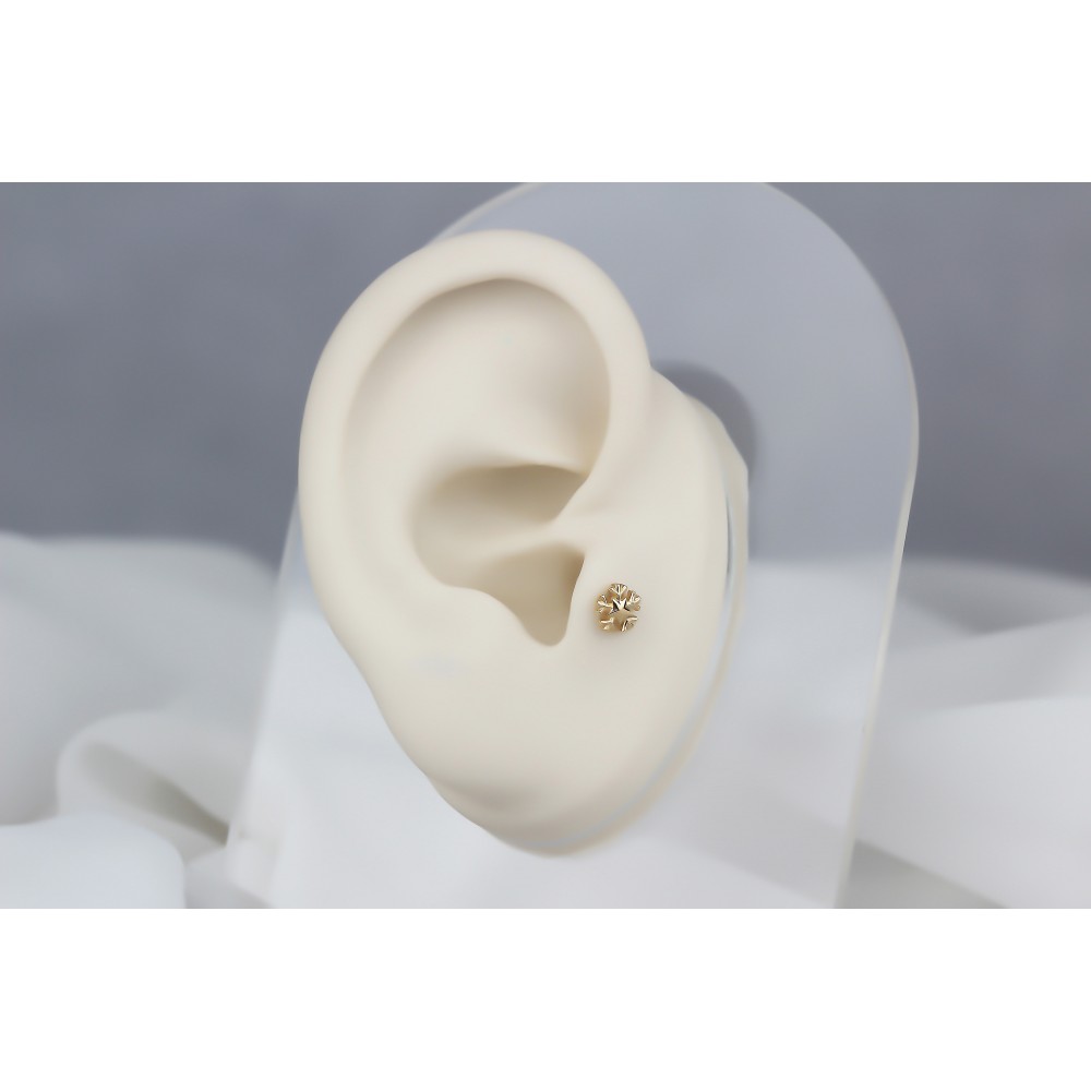 Glorria Altın Kar Tanesi Tragus Piercing Glorria Altın Kar Tanesi Tragus Piercing