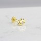 Glorria Altın Göz Tragus Piercing Glorria Altın Göz Tragus Piercing