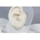 Glorria Altın Tektaş Tragus Piercing Glorria Altın Tektaş Tragus Piercing