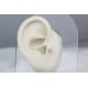 Glorria Altın Kelebek Tragus Piercing Glorria Altın Kelebek Tragus Piercing