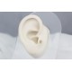 Glorria Altın Kutup Yıldızı Tragus Piercing Glorria Altın Kutup Yıldızı Tragus Piercing