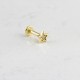 Glorria Altın Yıldız Tragus Piercing Glorria Altın Yıldız Tragus Piercing