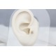 Glorria Altın Üç Taş Tragus Piercing Glorria Altın Üç Taş Tragus Piercing