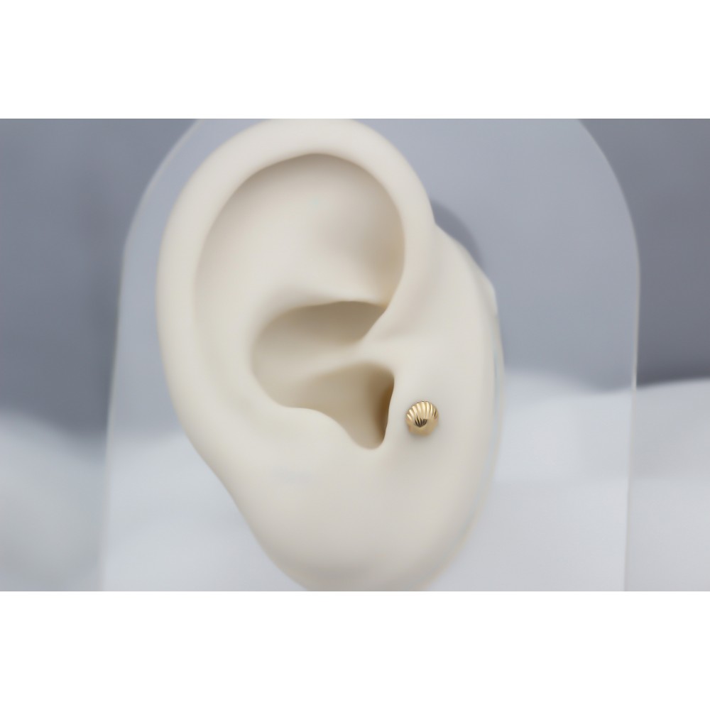 Glorria Altın Deniz Kabuğu Tragus Piercing Glorria Altın Deniz Kabuğu Tragus Piercing