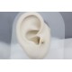 Glorria Altın Deniz Kabuğu Tragus Piercing Glorria Altın Deniz Kabuğu Tragus Piercing