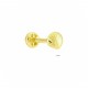 Glorria Altın Deniz Kabuğu Tragus Piercing Glorria Altın Deniz Kabuğu Tragus Piercing