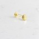 Glorria Altın Deniz Kabuğu Tragus Piercing Glorria Altın Deniz Kabuğu Tragus Piercing