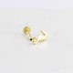 Glorria Altın Deniz Atı Tragus Piercing Glorria Altın Deniz Atı Tragus Piercing