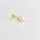 Glorria Altın Ay Yıldız Tragus Piercing Glorria Altın Ay Yıldız Tragus Piercing
