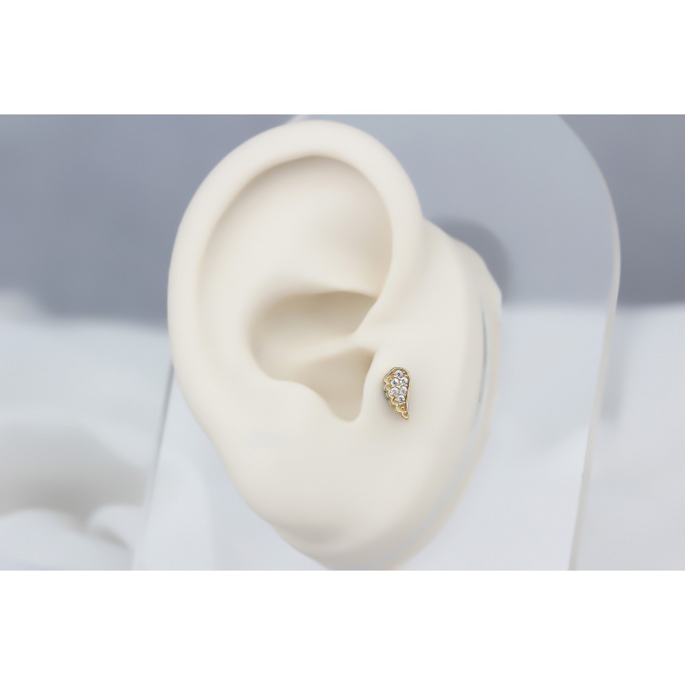 Glorria Altın Melek Kanadı Tragus Piercing Glorria Altın Melek Kanadı Tragus Piercing