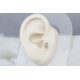 Glorria Altın Melek Kanadı Tragus Piercing Glorria Altın Melek Kanadı Tragus Piercing