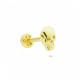 Glorria Altın Kuru Kafa Tragus Piercing Glorria Altın Kuru Kafa Tragus Piercing