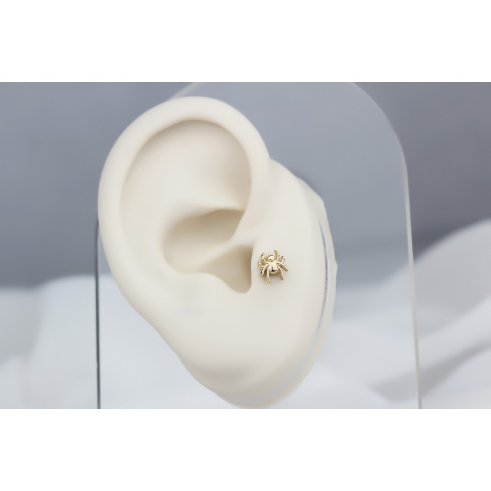 Glorria Altın Örümcek Tragus Piercing Glorria Altın Örümcek Tragus Piercing