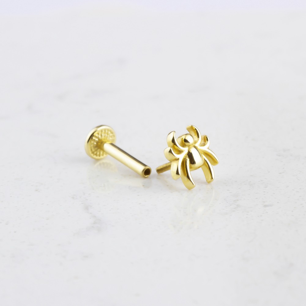Glorria Altın Örümcek Tragus Piercing Glorria Altın Örümcek Tragus Piercing