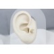 Glorria Altın Hilal Tragus Piercing Glorria Altın Hilal Tragus Piercing