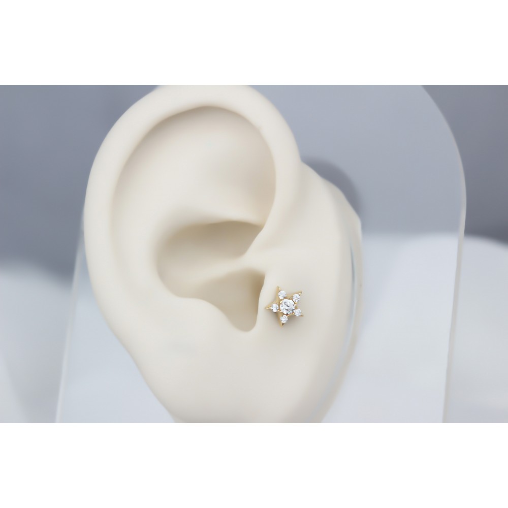 Glorria Altın Yıldız Tragus Piercing Glorria Altın Yıldız Tragus Piercing