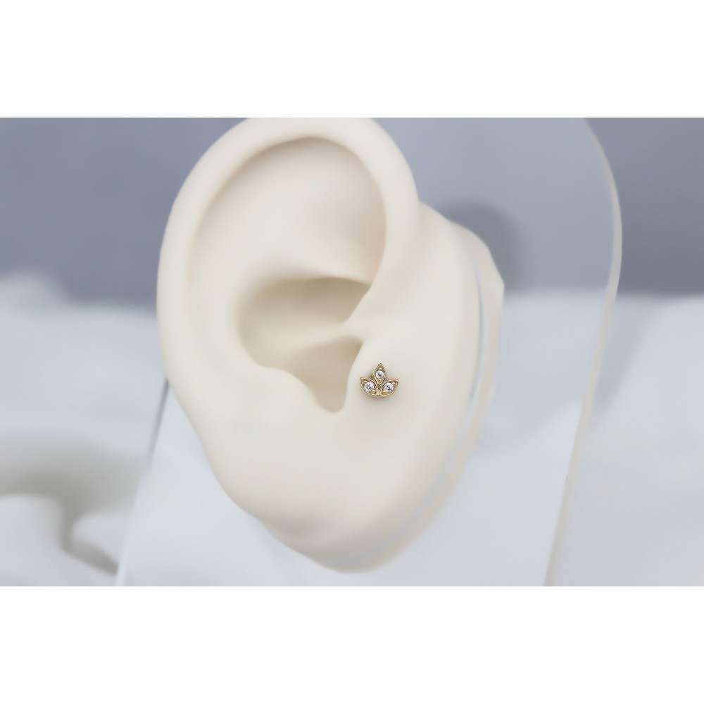 Glorria Altın Çiçek Tragus Piercing Glorria Altın Çiçek Tragus Piercing