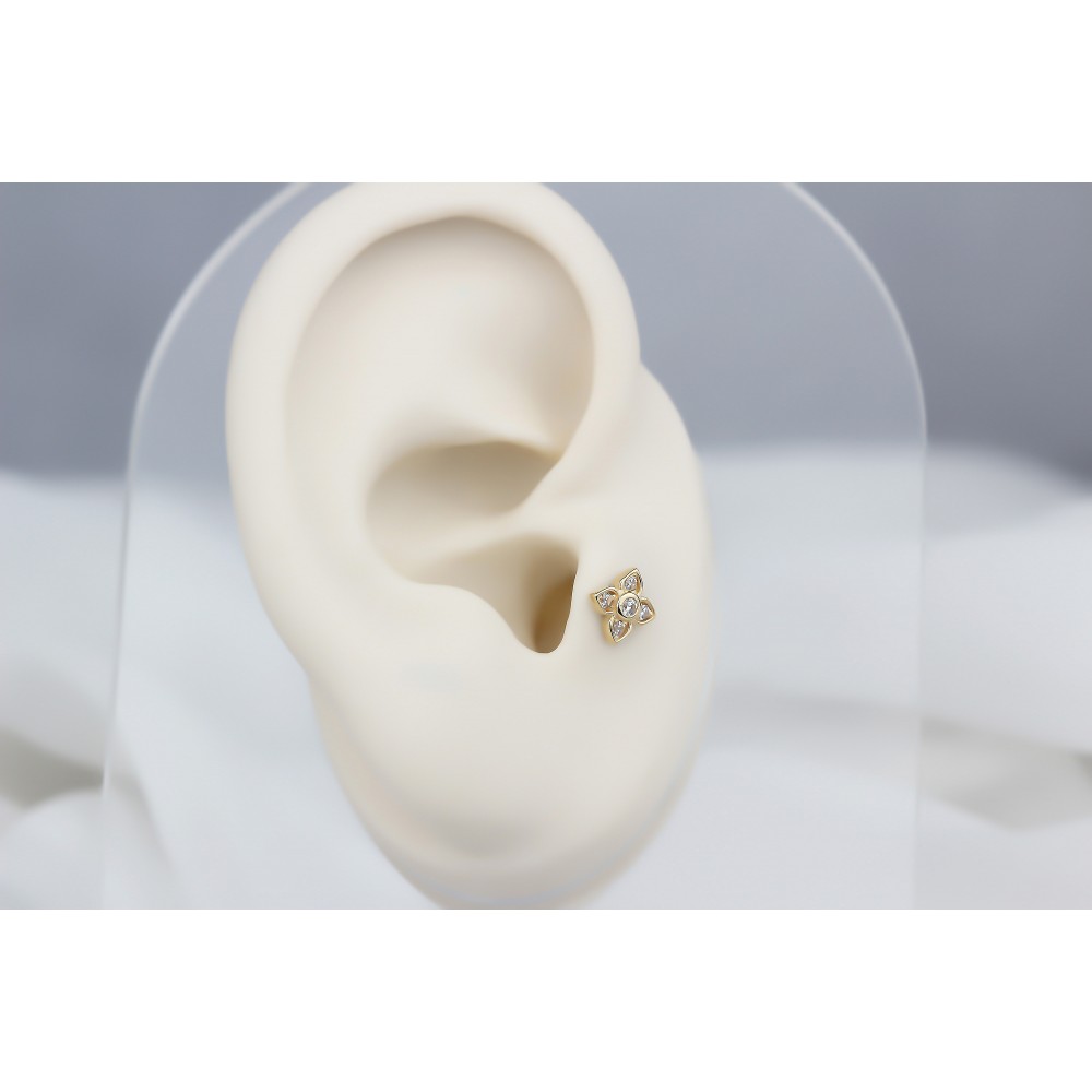 Glorria Altın Yonca Tragus Piercing Glorria Altın Yonca Tragus Piercing