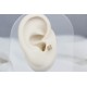 Glorria Altın Yonca Tragus Piercing Glorria Altın Yonca Tragus Piercing