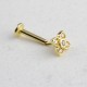 Glorria Altın Yonca Tragus Piercing Glorria Altın Yonca Tragus Piercing