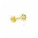 Glorria Altın Yıldız Tragus Piercing Glorria Altın Yıldız Tragus Piercing